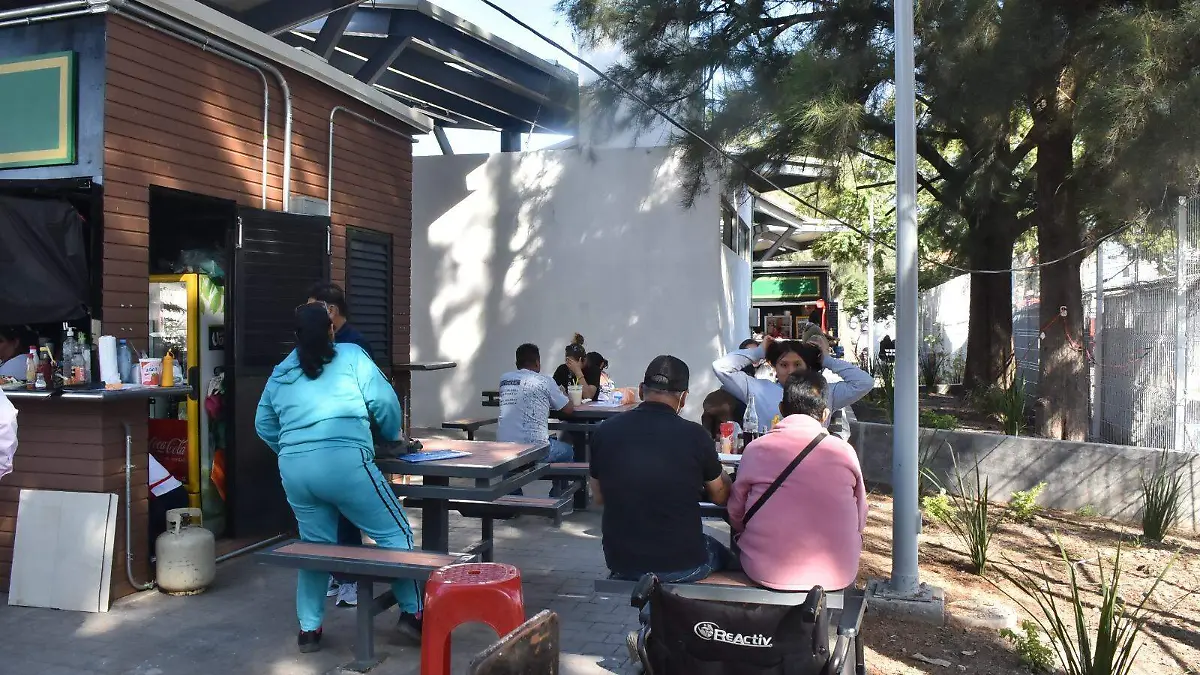 Andador comercial en calle Grillito Cantor de Irapuato, sorprende a comensales  (1)